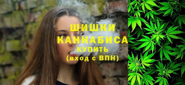 дмт Горнозаводск